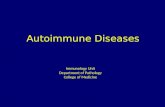 Autoimmune Diseases Immunology Unit Department of Pathology College of Medicine.