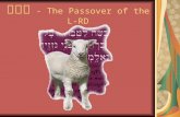 פסח - The Passover of the L-RD. Feasts of the L-RD In the first month, on the fourteenth day of the month, between sundown and complete darkness, comes.