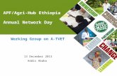 APF/Agri-Hub Ethiopia Annual Network Day Working Group on A-TVET 13 December 2013 Addis Ababa.
