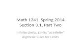 Math 1241, Spring 2014 Section 3.1, Part Two Infinite Limits, Limits “at Infinity” Algebraic Rules for Limits.