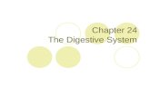 Chapter 24 The Digestive System. Structures and functions, fig 24.1 Digestive System Organs  Alimentary Canal  Accessory Digestive Organs Digestive.