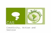 Creativity, Action and Service.  Extended essay  Theory of Knowledge (TOK)  Creativity, Action and Service (CAS)