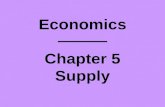 Economics Chapter 5 Supply. Changes in Supply Chapter 5 Section 3.