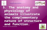 Life Science Standards Structure and Function* 5. The anatomy and physiology of animals illustrate the complementary nature of structure and function.