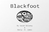 Blackfoot By Sarah Delaney & Emily.H. James. The People The Blackfoot Nation consists of four distinct nations who all share historical and cultural backgrounds,