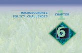 16 CHAPTER MACROECONOMIC POLICY CHALLENGES. Objectives After studying this chapter, you will able to  Describe the goals of macroeconomic policy  Describe.