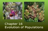 Chapter 16 Evolution of Populations. 16.1 Genes and Variation A. Populations and Gene Pools a. population: individuals of the same species in a given.