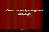 Cross core work- contexts and challenges PGCE Cross curricular.
