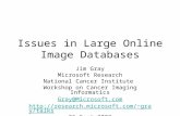 Issues in Large Online Image Databases Jim Gray Microsoft Research National Cancer Institute Workshop on Cancer Imaging Informatics Gray@Microsoft.com.