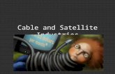 Cable and Satellite Industries. Lil Context Cable + Satellite= –Multi-Channel Television Industries 87-90% of U.S. TV households get programming. 60%