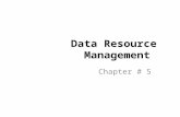 Data Resource Management Chapter # 5. Illustrate each of the following concepts: – Logical data elements – Major types of databases – Data warehouses.