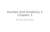 Chapter 1 Human and Anatomy 1 Chapter 1 By Myroslava Bihar.