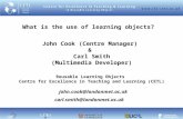 What is the use of learning objects? John Cook (Centre Manager) & Carl Smith (Multimedia Developer) Reusable Learning Objects Centre for Excellence in.