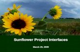 Sunflower Project Interfaces March 25, 2009. 2 Copyright © 2009 Accenture All Rights Reserved. Welcome.