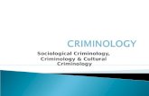 Sociological Criminology, Criminology & Cultural Criminology