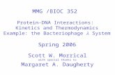 MMG /BIOC 352 Spring 2006 Protein-DNA Interactions: Kinetics and Thermodynamics Example: the Bacteriophage System Scott W. Morrical with special thanks.