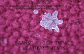 SAAWSO HIGH IMPACT WEATHER EVENTS Ismail Gultepe EC, Cloud Physics and Severe Weather Research Section Toronto, Ontario M3H 5T4, Canada.
