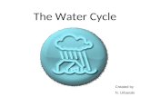 The Water Cycle Created by N. Urbanski Name the 4 types of precipitation 1. Rain 2. Sleet 3. Snow 4. Hail.