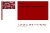 Genetics and Inheritance Year 10 Biology Part 3: Predicting Possibilities.