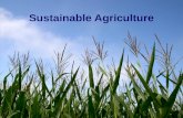 Sustainable Agriculture. Agriculture has changed dramatically, especially since the end of World War II. Food and fiber productivity soared due to new.