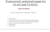 1 Transversely polarized target for CLAS and CLAS12  Introduction  Structure of nucleon and 3D parton distributions  Semi-Inclusive processes and TMD.