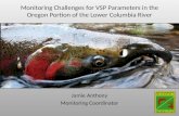 Monitoring Challenges for VSP Parameters in the Oregon Portion of the Lower Columbia River Jamie Anthony Monitoring Coordinator.