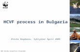 HCVF process in Bulgaria Zhivko Bogdanov, Syktyvkar April 2009 WWF Danube-Carpathian Programme .