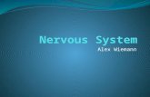 Alex Wiemann. Function of Nervous System Coordinates actions and transmits signals between parts of a body.