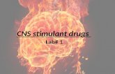 Lab# 1. The Nervous System CNS BrainSpinal cord PNS Sensory division (afferent) Motor division (efferent) Somatic nervous system (voluntary) Autonomic.
