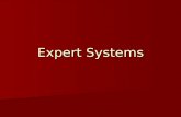 Expert Systems.    .