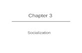 Chapter 3 Socialization. Chapter Outline  Perspectives on Socialization  Agents of Childhood Socialization  Processes of Socialization  Outcomes of
