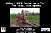 Using LULUCF Carbon as a Tool for Rural Development Sara J. Scherr UNFCCC/SBSTA Workshop on Climate Change Mitigation Bonn, Germany – June, 2004.