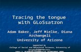 Ultrafest III, University of Arizona Tracing the tongue with GLoSsatron Adam Baker, Jeff Mielke, Diana Archangeli University of Arizona Supported by College.