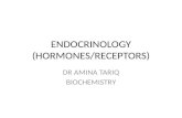 ENDOCRINOLOGY (HORMONES/RECEPTORS) DR AMINA TARIQ BIOCHEMISTRY.