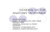 GENERAL OF THE ANATOMY VETERINER 1.INTRODUCTION 2.GENERAL OSTEOLOGY AND THEIR CONNECTION. 3.GENERAL MYOLOGY & THEIR SUPPORT. 4.GENERAL SYNDESMOLOGY 5.GENERAL.