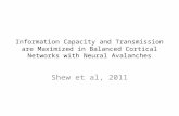 Information Capacity and Transmission are Maximized in Balanced Cortical Networks with Neural Avalanches Shew et al, 2011.