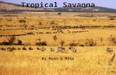 Tropical Savanna By Ryan & Mike. Climate A tropical wet and dry climate predominates in areas covered by savanna growth. Mean monthly temperatures are