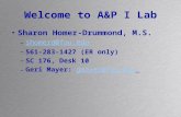 Welcome to A&P I Lab Sharon Homer-Drummond, M.S. –shomerd@fau.edushomerd@fau.edu –561-283-1427 (ER only) –SC 176, Desk 10 –Geri Mayer: gmayer@fau.edugmayer@fau.edu.