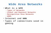 Wide Area Networks What is a WAN Types of Networks Global and Regional Networks Metropolitan Area Networks WANS Internet and WWW Types of connections used.