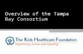 Overview of the Tampa Bay Consortium. Founded in 1998 to raise the money required at that time for the “local match”. As the local match requirement ended.
