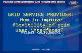 PROGRESS: ICCS'2003 GRID SERVICE PROVIDER: How to improve flexibility of grid user interfaces? Michał Kosiedowski.