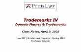 Trademarks IV Domain Names & Trademarks Class Notes: April 9, 2003 Law 507 | Intellectual Property | Spring 2003 Professor Wagner.