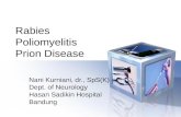 Rabies Poliomyelitis Prion Disease Nani Kurniani, dr., SpS(K) Dept. of Neurology Hasan Sadikin Hospital Bandung.