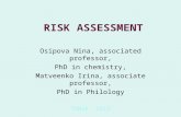 RISK ASSESSMENT Osipova Nina, associated professor, PhD in chemistry, Matveenko Irina, associate professor, PhD in Philology TOMSK -2015.