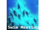 Swim Meeting. Schedule DayBeforeAfter Monday7-8 am in Weight RoomSH 4-4:30 CM 5-6:30 Tuesday4-5pWR WednesdayCM 6:30-8 AM4-5 SH Thursday4-5 WR Friday7-8.