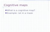 Cognitive maps What is a cognitive map? Example: rat in a maze.