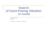 B.MOUGINOT IPNO PHD director : F. AZAIEZ, S. FRANCHOO Search of Giant Pairing Vibration in nuclei.