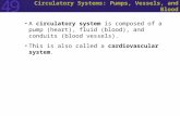 49 Circulatory Systems: Pumps, Vessels, and Blood A circulatory system is composed of a pump (heart), fluid (blood), and conduits (blood vessels). This.
