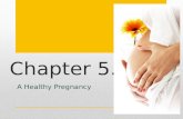 Chapter 5.1 A Healthy Pregnancy. Health During Pregnancy Early Signs of Pregnancy A missed menstrual period (often first indicator) A full feeling or.