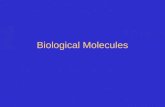 Biological Molecules. The hydrocarbon skeleton provides a basic framework: Biological Molecules Small and Large Figure 3-3.
